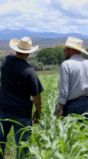 Chef Driven Casados Farms